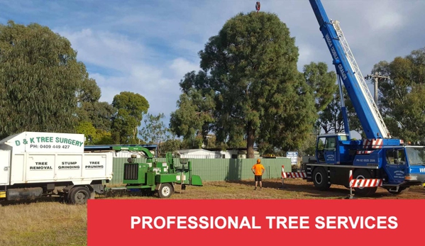 D & K Tree Surgery - Lake Albert, NSW. Professional Tree Services