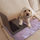 P.A.W. Method - Pet Services