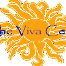 Viva Center - Medical Service Organizations