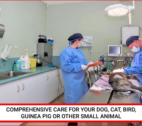 North Bundaberg Vet Surgery - Bundaberg North, QLD. Comprehensive Care For Your Dog, Cat, Bird, Guinea Pig Or Other Small Animal