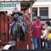 Oil Ranch gallery
