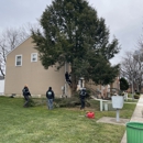 Big Timber Tree Service LLC