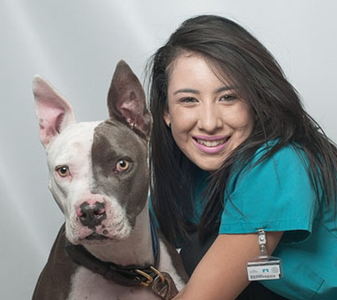 Rainbow Veterinary Hospital Inc. - Burbank, CA