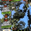 All Your Way Lawn, Tree, and Property Maintenance gallery