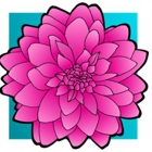 In Bloom