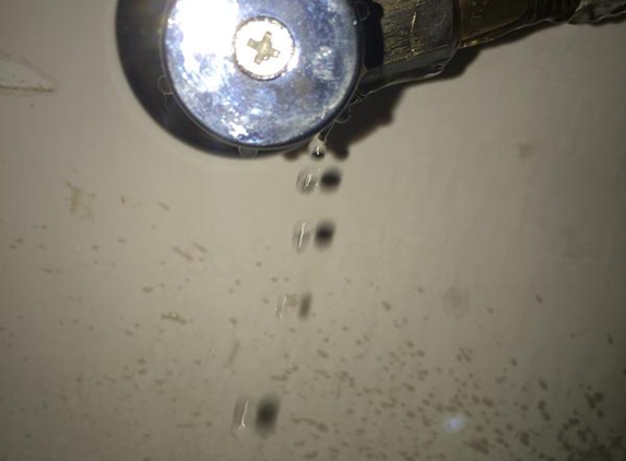 Lehmann Plumbing & Gas Pty Ltd - Broken Hill, NSW. Cold water connection under kitchen sink leaks.