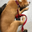 Pet Emergency Service of Yakima - CLOSED