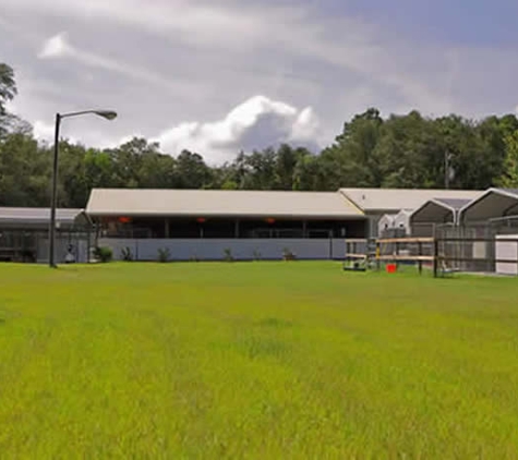 ICNDF Dog Training Center - Saint Augustine, FL