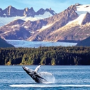 United National Travel Bureau of Titusville Inc - Airline Ticket Agencies