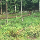 Winslow Landscaping - Landscape Designers & Consultants