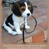 Durango Pet Sitting gallery