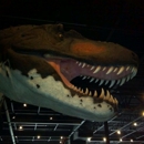 Dinosaur Museum - Museums