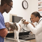 Banfield Pet Hospital