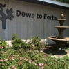 Down to Earth gallery