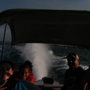 Stingray Extreme SpeedBoat Adventures - Amusement Places & Arcades
