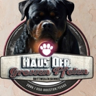 Haus Des Großen Pfoten Rottweilers