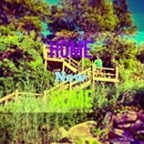 The Shores - Apartments