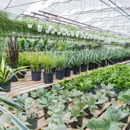 4 C's Nursery - Wholesale Plants & Flowers