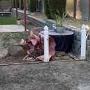 Jim's Tree Service - Tree Service