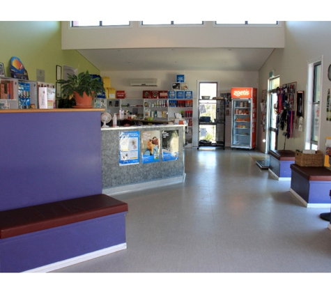 Taree Veterinary Hospital - Taree, NSW