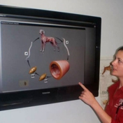 Gallery Image Number 5
