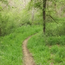 River N Lakes Rv Park