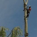 Clay's Tree Service - Arborists