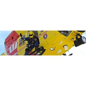 Gallery Image Number 7