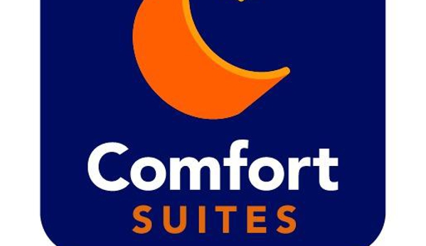 Comfort Suites near Tanger Outlet Mall - Gonzales, LA