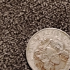 Wheeling Coin gallery