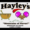 Hayley's Ice Cream gallery