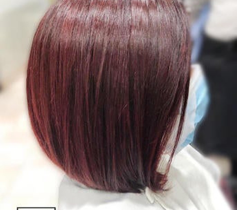 Park Jun Korean Hair Salon Straight Perm Color Wedding - Niles, IL