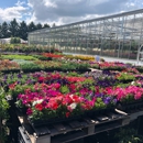 Lizzie's Garden - Garden Centers