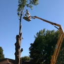 Seidl Services LLC - Arborists