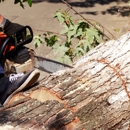Allen Tree Services - Tree Service