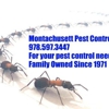 Montachusett Pest Control gallery