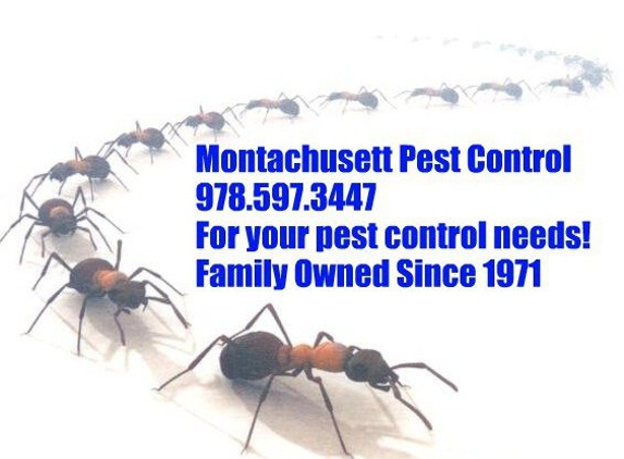 Montachusett Pest Control - Townsend, MA