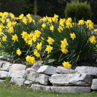 Wachusett Landscaping Sealcoating & Snow Removal Services - Worcester, MA. 30% OFF MULCH BEDS 774-778-4114