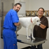 Katy Veterinary Clinic gallery