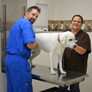Katy Veterinary Clinic - Veterinary Clinics & Hospitals