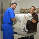 Katy Veterinary Clinic - Veterinarians