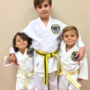 David Holler's Taekwondo - Martial Arts Instruction