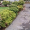 Go See Start - Lawn/Landscape Maintenance gallery