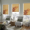 Blinds To Go Commercial & Residential gallery