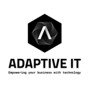 Adaptive It, Inc - Computer Software Publishers & Developers