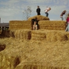 Rader Family Farms gallery