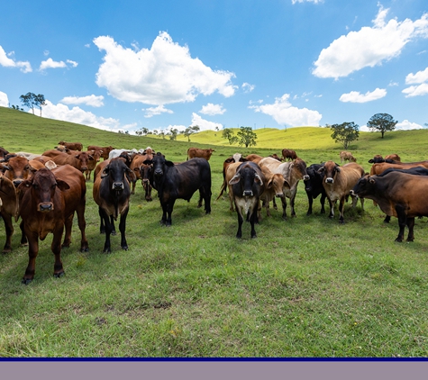 MIS Insurance Brokers - Newtown, QLD. Wide range of insurance products to cover all occupations
