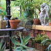 Cherry Creek Nursery gallery