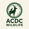 ACDC Wildlife Services gallery