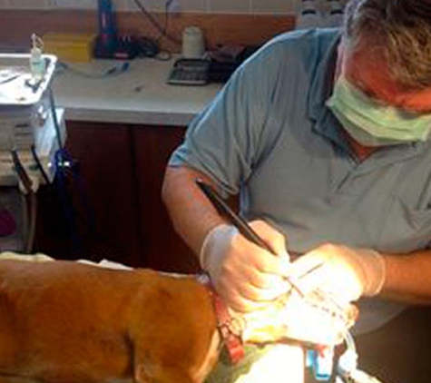 Westlakes Veterinary Hospital - Fennell Bay, NSW